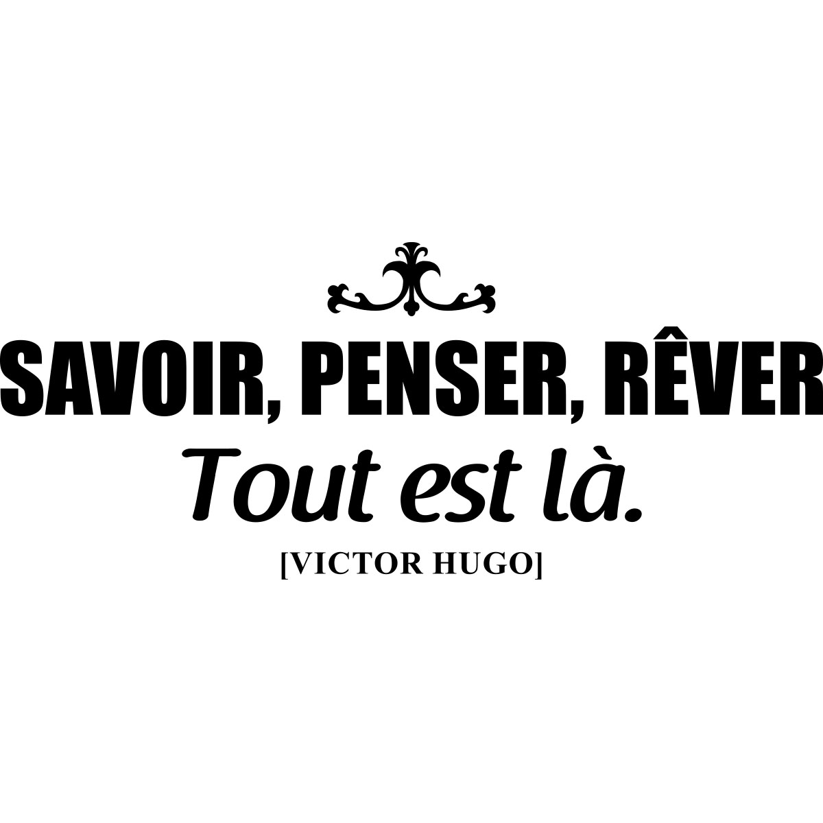 citation
<a href=